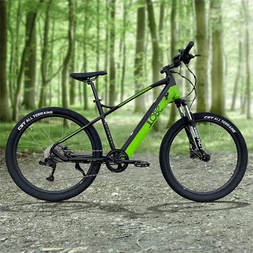 53% ALDI Rabatt auf das Llobe MTLogan E-Bike